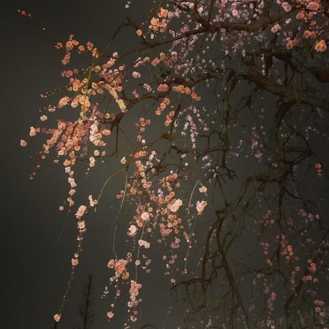 Mitsuyo Shimura - Individual - Japan - StageLync