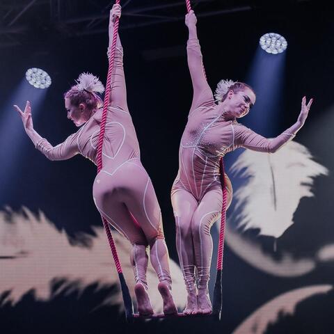 Aerial duo Aspire to inspire - Individual - StageLync