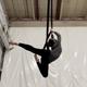Ella Van Langeveld  - Individual - United States - StageLync