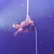 Sasha Zucker - Individual - Germany - CircusTalk