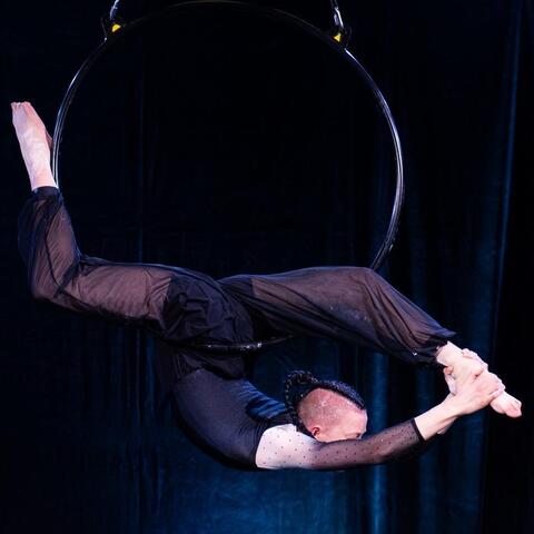 Ellf Van den Bout  - Individual - Netherlands - StageLync