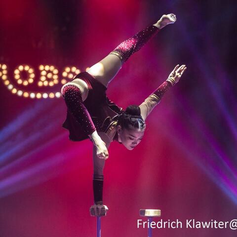 tsas tsenduke - Individual - Mongolia - StageLync