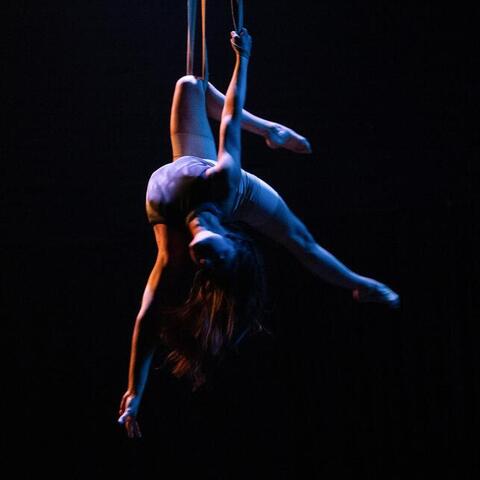 Elise Southwick - Individual - United States - StageLync