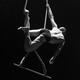 Thomas Botticelli - Individual - France, Switzerland - StageLync