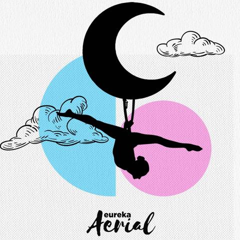 Eureka Aerial - School - United States - StageLync