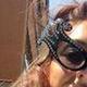 alessandra piccoli - Individual - Italy - StageLync