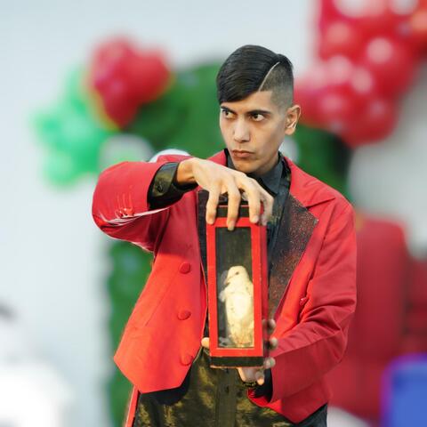 سینا فرمانی - Individual - Iran - StageLync