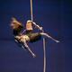 Alice Petrucci - Individual - Italy - StageLync