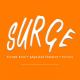 Surge - Company - United Kingdom - StageLync