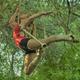 Ana Paula Sanchez Inchauspe - Individual - Argentina - StageLync