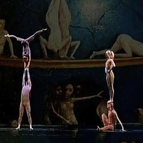 Corpus acrobatics - Company - Netherlands - StageLync