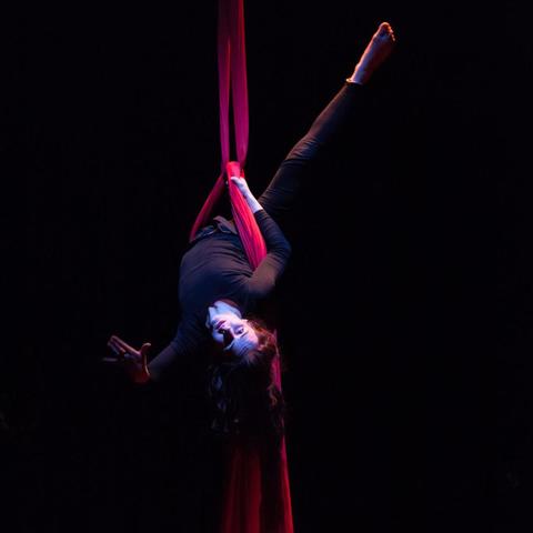 Katarzyna Sanak - Individual - Poland - StageLync