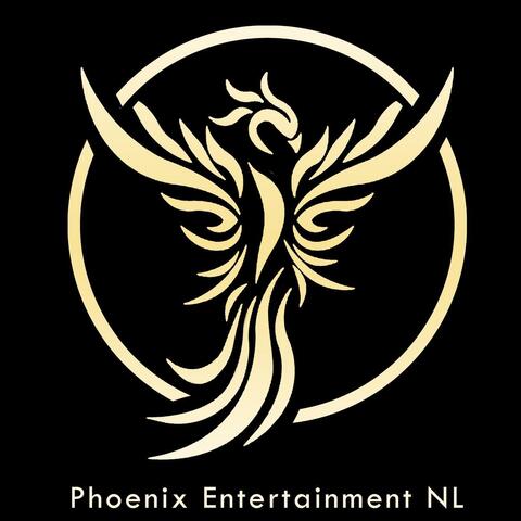 Phoenix Entertainment NL - Company - Netherlands - StageLync