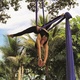 Lina Acevedo - Individual - Venezuela - StageLync