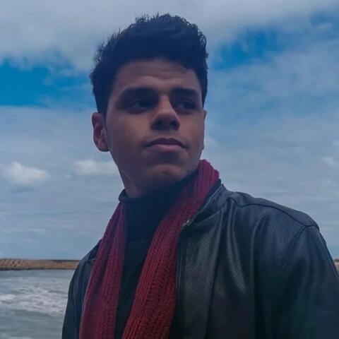 Adham Mohammed - Individual - Egypt - StageLync