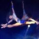 Sonya  Sonnenberg - Individual - Spain, United Kingdom, United States - StageLync