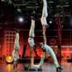 Acrobarcelona - Company - Spain - StageLync