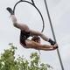Elise Prowse  - Individual - United Kingdom - StageLync