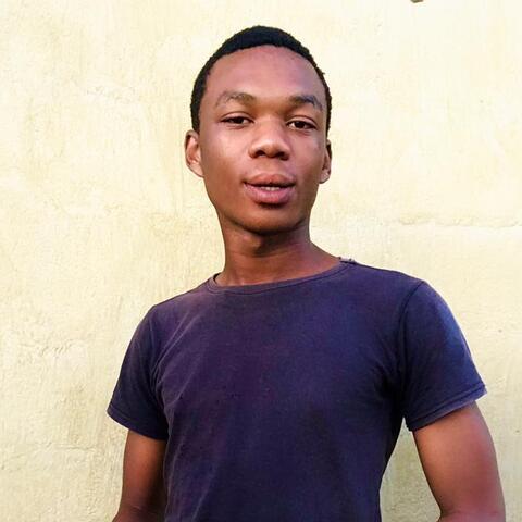 Bongani Tyantyayi  - Individual - Nigeria, South Africa, United States - StageLync