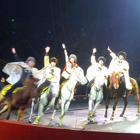 KambarTeam llc - kambarov riders - Company - United States - StageLync