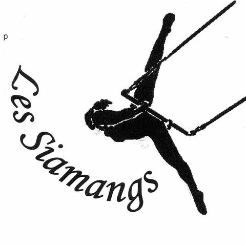 Les Siamangs - School - France - StageLync