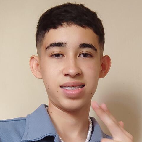 Miguel  Vargas - Individual - Mexico - StageLync