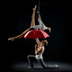 Sasha Harrington - Individual - United States - StageLync