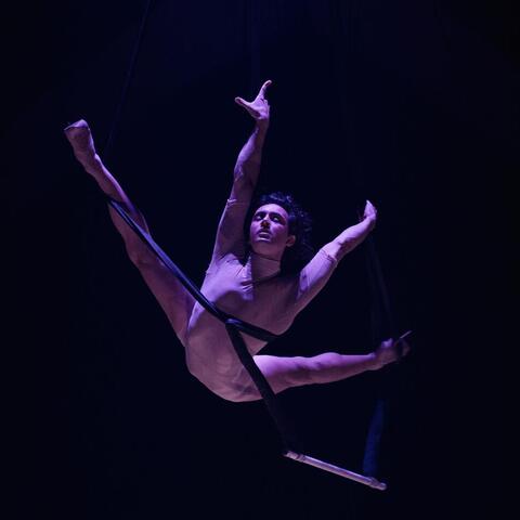 Manuel Gonzalo - Individual - Argentina, Spain - StageLync