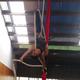 Jenna Lee - Individual - New Zealand - StageLync