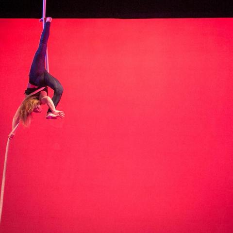 Katja Orlow-Ornstein - Individual - United States - StageLync