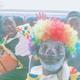 JERRY KUNDELUNGU - Individual - Zambia - StageLync