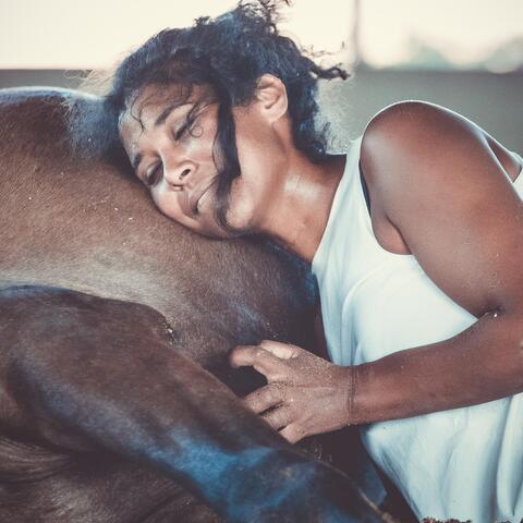 equinoctis, la négresse à cheval association - Company - France - StageLync