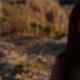 Gaia Esposito - Individual - Italy - StageLync