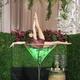 Nina Chubrikova - Individual - United States - StageLync