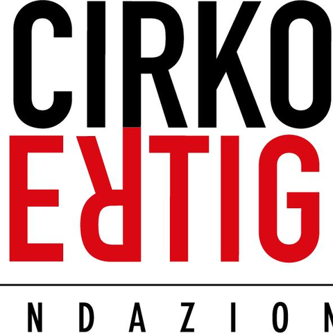 Fondazione Cirko Vertigo - School - Italy - StageLync