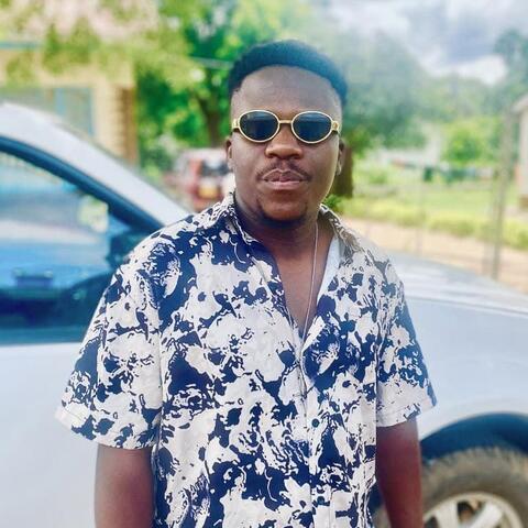 Ngonidzashe Mukwamuri - Individual - StageLync