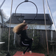 Lola Van Es - Individual - Netherlands - StageLync