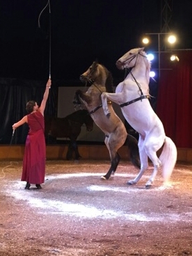 esprit de cirque - School - France - StageLync