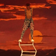 Daniel Seleshi - Individual - Ethiopia - StageLync