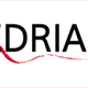 AGENCIA FEDRIANI - Agency - Spain - StageLync