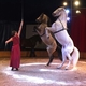 esprit de cirque - School - France - StageLync